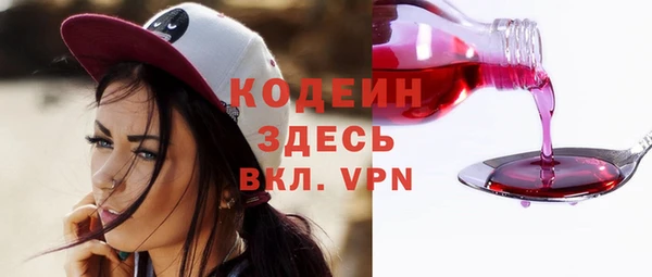 винт Няндома