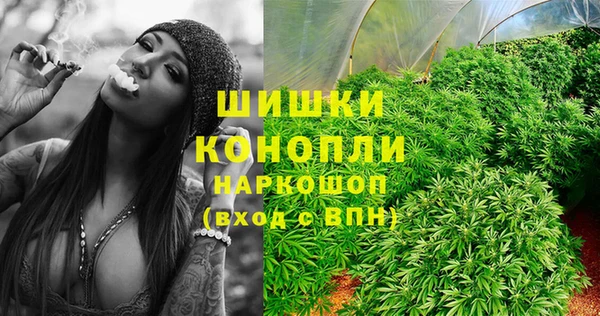 винт Няндома