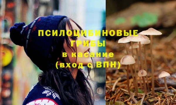 тгк Сибай