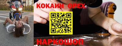 прущие грибы Канаш