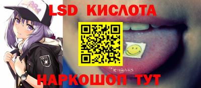 прущие грибы Канаш