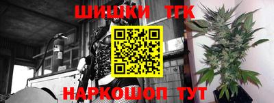 прущие грибы Канаш