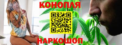 прущие грибы Канаш