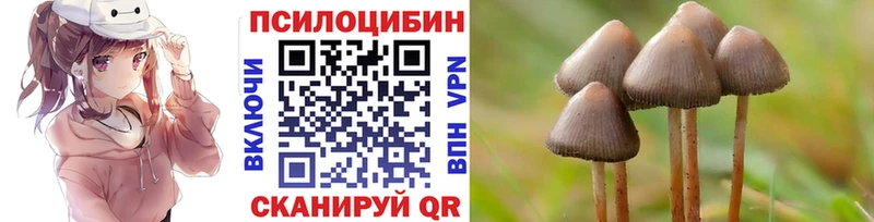 Псилоцибиновые грибы мицелий  Краснознаменск 