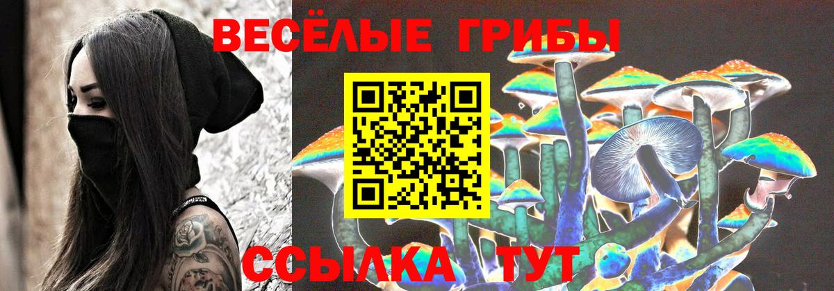 Псилоцибиновые грибы Psilocybe  Галлюциногенные грибы мухоморы  Вход с VPN  Краснознаменск 