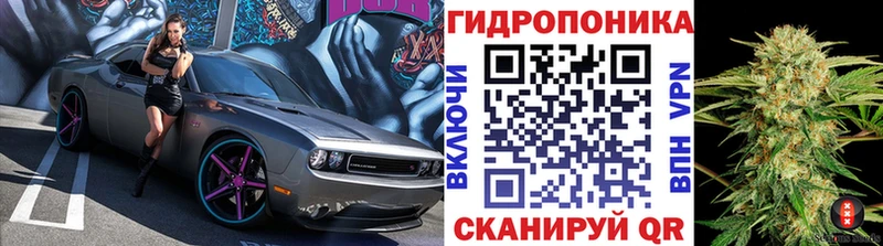 где купить наркоту  OMG сайт  Бошки Шишки VHQ  Краснознаменск 